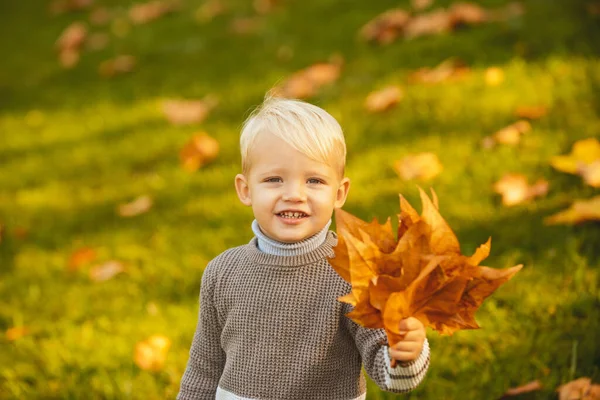 Crianças adoráveis do outono com folhas no parque de beleza. Retrato infantil de outono, humor outonal . — Fotografia de Stock