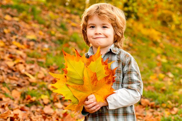 Φθινοπωρινό πορτρέτο του χαριτωμένου μικρού καυκάσιου αγοριού. — Φωτογραφία Αρχείου