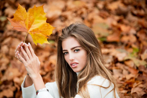 Junge Frau beim Spazierengehen in einem Herbstpark, Herbsttag. Schöne Mädchen in stilvoller Mode Kleidung in Park. Schönes Modell im Freien bei sonnigem Tag. — Stockfoto