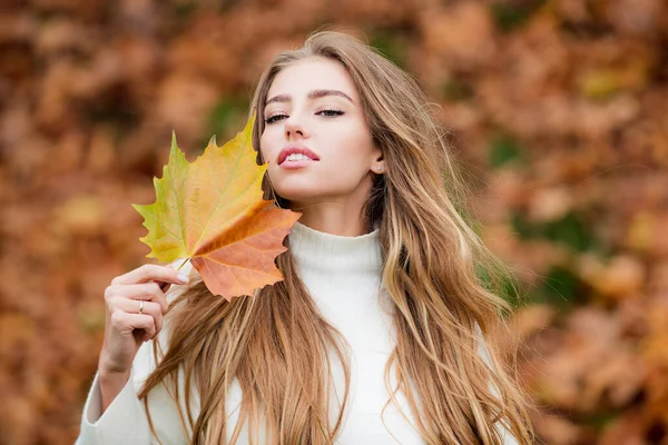 Beleza de outono. Mulher moda wodel com queda folha de bordo ao ar livre. — Fotografia de Stock