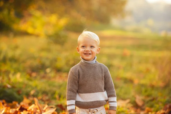 Leende barn njuta av hösten naturen har glada ansikte. Ett lyckligt barnporträtt. Underbara höstungar med löv i skönhetsparken. Le barn ansikte. — Stockfoto