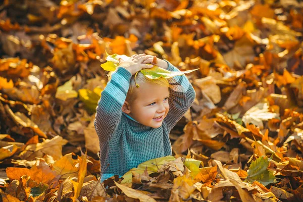 Glada barn kastar upp de fallna löven, leker i höstparken. Grabben ligger på det gyllene lövet. Barn med gult löv i höstparken. — Stockfoto