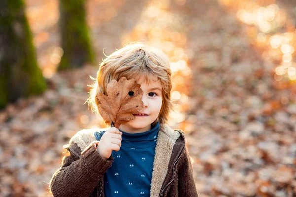 Enfant garçon couvre ses yeux avec une feuille d'érable jaune. Petit garçon jouant avec les feuilles d'automne dans le parc. — Photo