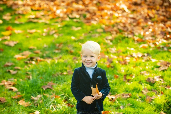 Imádnivaló gyermek őszi levelekkel a szépségparkban. Őszi gyermekportré. — Stock Fotó