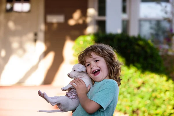 男の子は子犬と一緒に歩く。人々の感情。子供ともに子犬キスと抱擁. — ストック写真