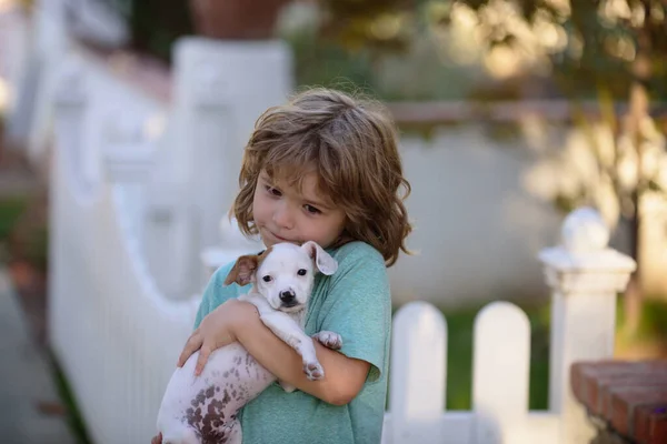 Enfant embrasse avec amour son chien de compagnie. Enfants mignons jouant avec chihuahua chien mixte couché sur la pelouse arrière-cour. Enfance insouciante. — Photo