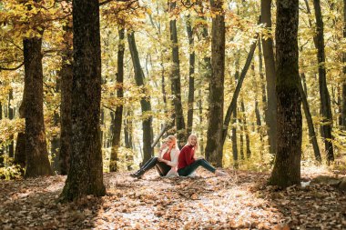 Cep telefonuna dokunan ve sonbahar parkında oturan gülümseyen iki genç kadın. İnsanlar teknoloji ve arkadaşlık kavramı, akıllı telefonlu gülen arkadaşlar..