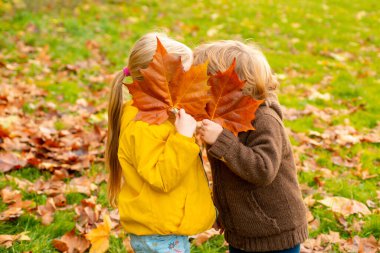 Sonbahar öpücüğü. Dost canlısı romantik oğlanlar ve kızlar parkta sonbahar gününün tadını çıkarıyorlar, çocukluk yaşam tarzı konsepti. Çocuklar sever.