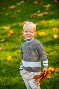 Küçük beyaz bir çocuğun sonbahar portresi..