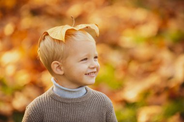 Gülümseyen sarışın çocuk sonbahar yapraklarını doğada tutuyor. Küçük beyaz bir çocuğun sonbahar portresi..