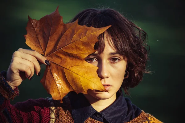 Chica con hoja de color amarillo otoño en suéter de punto. Soñadora hermosa chica con pelo negro natural licencia de otoño. Chica disfruta de la naturaleza en el bosque de otoño. Mujer joven con hermosa licencia de otoño. — Foto de Stock