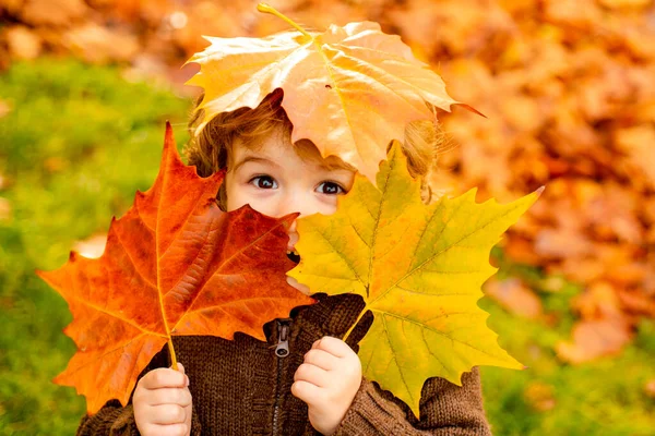 Autunno Bambino Ritratto In Foglie Gialle Autunnali, Bambino In Cappello Di Lana, Bellissimo Bambino In Parco All'aperto, Abbigliamento A Maglia Per Ottobre Stagione. — Foto Stock