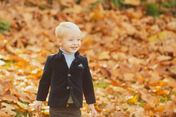 Aranyos kisfiú játszik levelek őszi parkban, szabadban őszi nap. — Stock Fotó