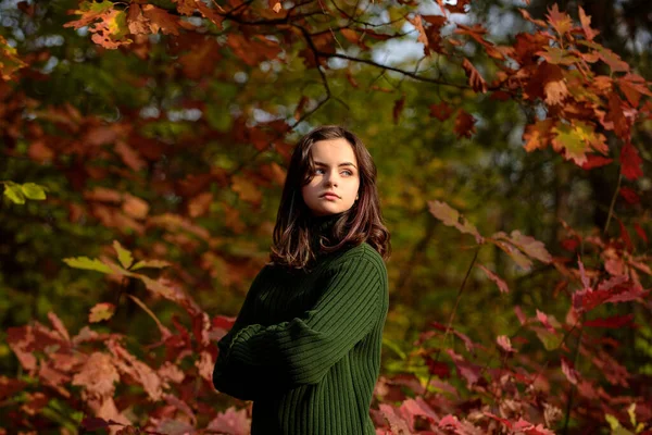 Adolescente de otoño. Joven adolescente usando suéter caliente y disfrutar de un día soleado otoñal. —  Fotos de Stock