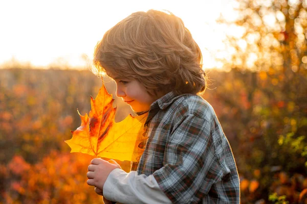 自慰的心情秋天的户外，快乐的孩子在笑着玩树叶. — 图库照片
