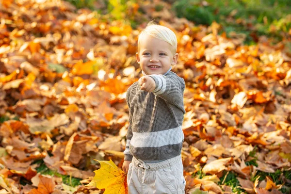Őszi gyerekek, szép gyermek játszik elesett levelek őszi parkban, őszi park. — Stock Fotó