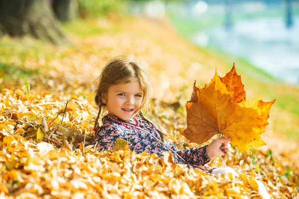 Χαριτωμένη κοπέλα στο πάρκο του φθινοπώρου. Τα φύλλα πέφτουν. Φθινοπωρινή παιδική διάθεση. — Φωτογραφία Αρχείου