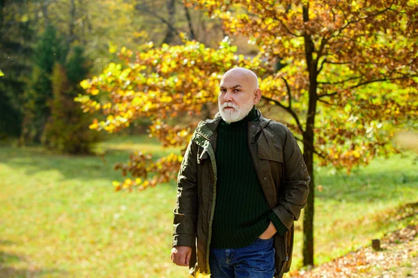 Kıdemli adam sonbaharda parkta yürüyor.. — Stok fotoğraf
