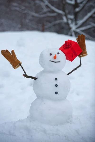 Snowman the friend is standing in winter hat and scarf with red nose. Snowman in a scarf and hat. Snowman and snow day. — Stock Photo, Image