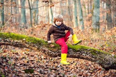 Mutlu çocuk Autumn Park 'ta yürüyor. Sıcak güneşli hava.