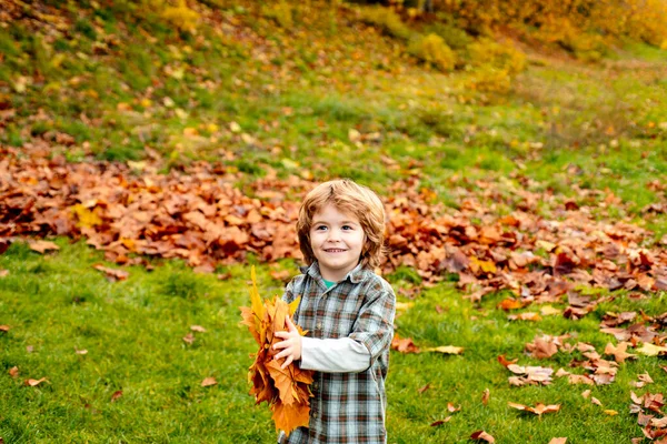 秋の気分。秋の子供の肖像画。幸せな子供、小さな男の子は笑って、秋に遊ぶ自然の上で葉が屋外で歩く. — ストック写真