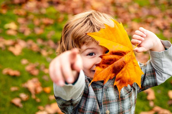 自慰的心情秋天的小男孩橙叶，户外. — 图库照片