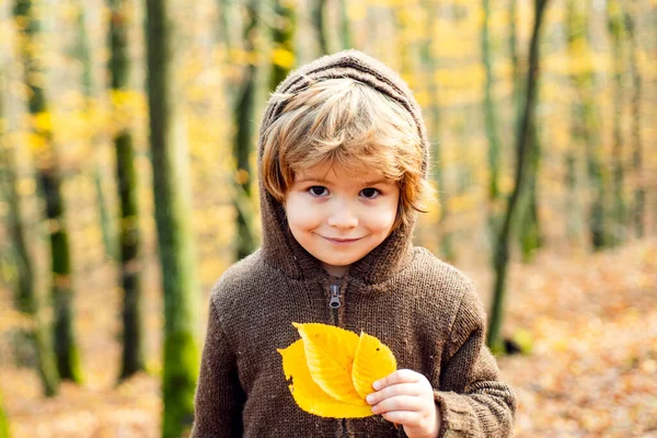 Dziecko w swetrze w jesiennej naturze, ciepła słoneczna pogoda na jesiennym tle. — Zdjęcie stockowe