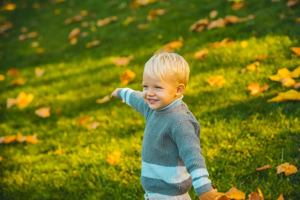 Criança de outono, criança fofa com folhas caídas no parque. Queda deixa conceito crianças, humor outonal. — Fotografia de Stock