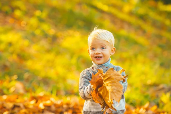 Retrato de outono de menino caucasiano bonito. Crianças no parque de outono no fundo da folha amarela. — Fotografia de Stock