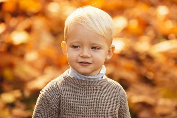 Barnpojke med höstlöv. Leksakspojken i höstparken. — Stockfoto