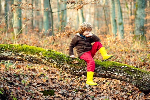 Niño en el bosque de otoño. Niño jugando en Fall Leaves al aire libre. Concepto de ocio infantil. — Foto de Stock