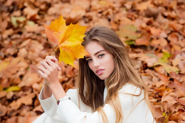 Conceito de moda outono. Menina elegante em estilo outonal posando no fundo folha de bordo vermelho ao ar livre. — Fotografia de Stock