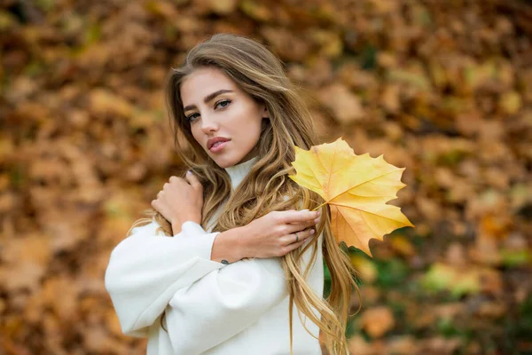 Moda outono jovem mulher detém folhas de bordo amarelo no fundo do parque de queda. — Fotografia de Stock