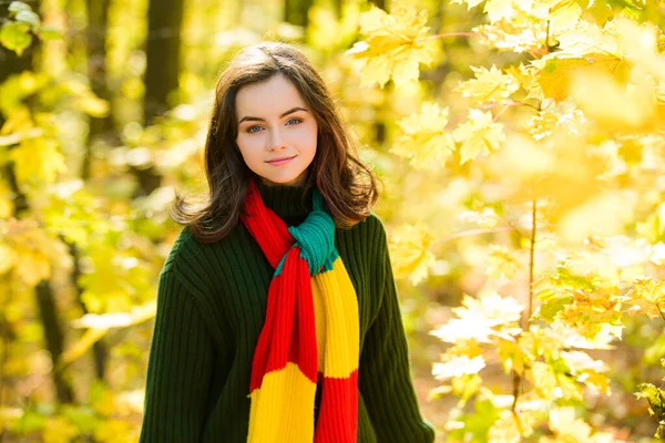 Sonbahar parkında sarı yaprakların arkasında genç bir kız.. — Stok fotoğraf
