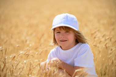 Buğday tarlasında bir çocuk. Küçük çocuk gün ışığında buğday tarlasında doğanın tadını çıkarıyor..