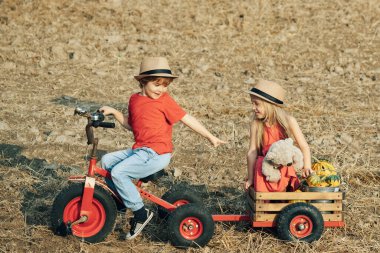 Tatlı küçük çocuklar çiftçiler - kızkardeşler ve erkek kardeşler bahar tarlasında patates ile çalışıyorlar. Çiftçilik ve tarım. Çocuklar organik hasat ve sebze hasat konsepti..