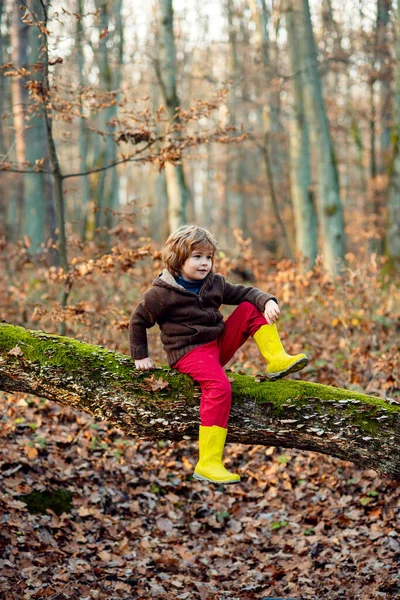 Niños Hojas de otoño cayendo. Niño pequeño o niño en edad preescolar en otoño. — Foto de Stock