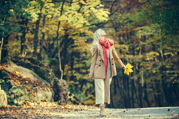 가을 나뭇잎을 둘러싸고 있는 아름다운 소녀의 옥외 패션 사진. — 스톡 사진