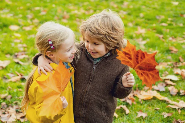 Sonbahar günü dışarıda sevimli mutlu çocuklar, küçük bir çocuk bir kızı öpüyor. Komik küçük çift..