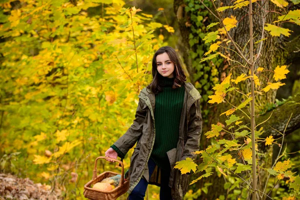 Sonbahar parkında güzel bir genç. Elinde bir sepet elma ve balkabağı tutan genç bir kız. Güneşli bir günde açık havada sarı akçaağaç yaprağı. — Stok fotoğraf