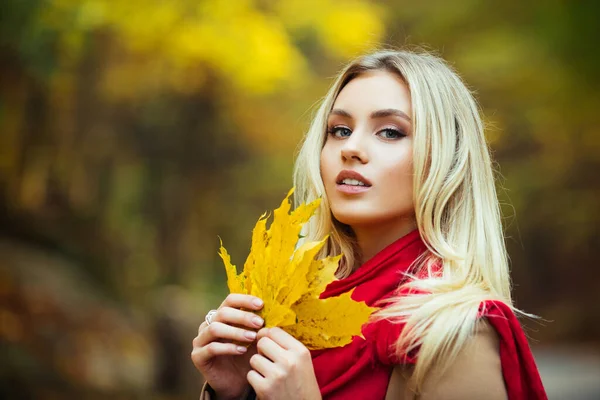 秋の公園でスタイリッシュなファッションの服の美しい女の子。晴れた日に屋外の美しい女性. — ストック写真
