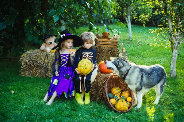 Halloween Scene met leuke kinderen. Twee kinderen zoals skelet of heks klaar voor truc of traktatie. Kinderen glimlachen op een Halloween feest. — Stockfoto