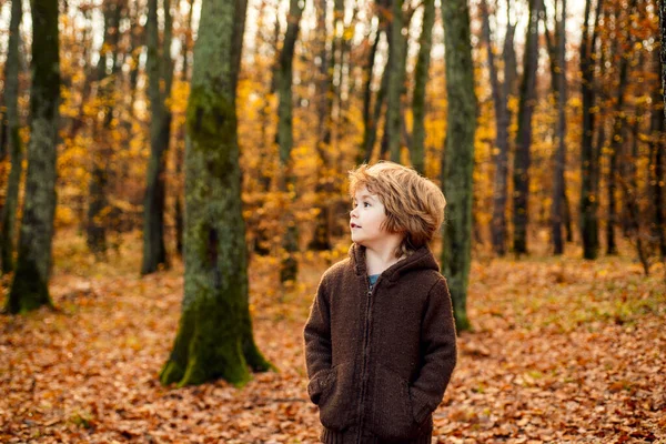 秋の公園の子供。小さいと非常にかわいいです男の子子供でヴィンテージ服上の秋の葉の背景. — ストック写真