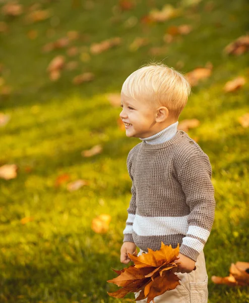 Menino caminhando no parque de outono. Retrato de outono do menino caucasiano bonito. — Fotografia de Stock