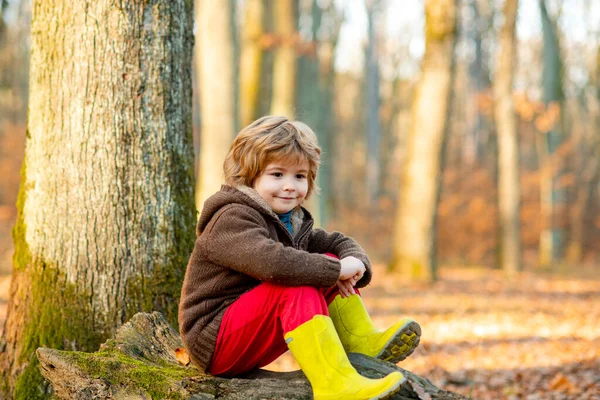 Tatlı çocuk sonbahar yapraklarının üzerine oturuyor. Sonbahar parkında yürüyen çocuk. — Stok fotoğraf