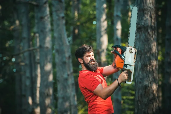 Oduncu işçi ormanda elektrikli testereyle yürüyor. Ormanda elektrikli testere tutan profesyonel bir oduncu. Yasadışı kütükleme bugün de devam ediyor. Elinde elektrikli testereyle oduncu. — Stok fotoğraf
