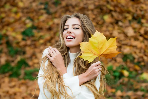 Feliz sorrindo mulher segurando folhas de bordo amarelas sobre fundo outono. — Fotografia de Stock