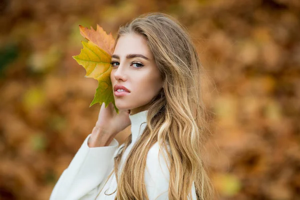 Young woman with autumn leaves in hand and fall yellow maple. — Stock Photo, Image