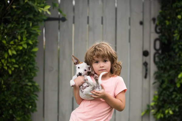 Filhotes de cachorro e abraços infantis, cuidado e amor para filhote de cachorro pequeno. — Fotografia de Stock