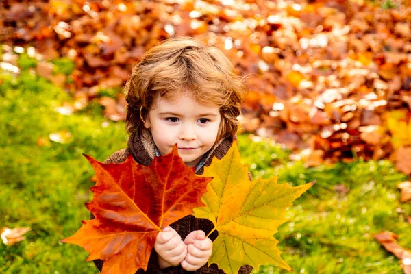 秋天穿着保暖衣服的孩子拿着树叶. — 图库照片